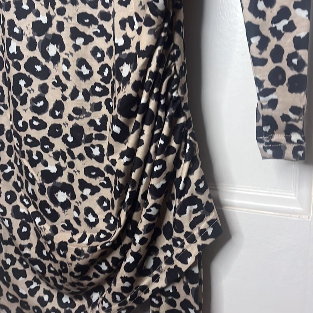 Leopard Print Dress - Picture 3 of 4